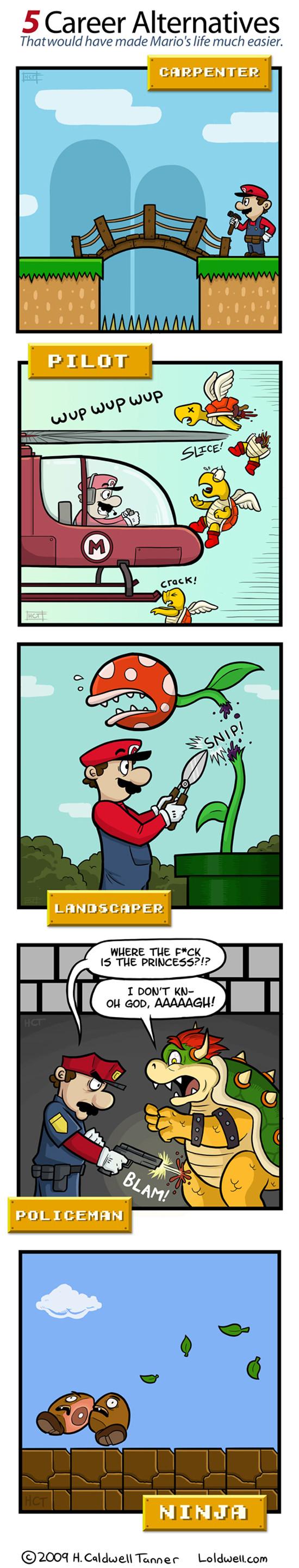 Les 5 métiers Alternatifs de Mario 1