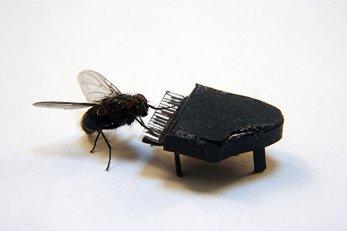 Les aventures de Mr Fly la mouche par Nicholas Hendrickx 12