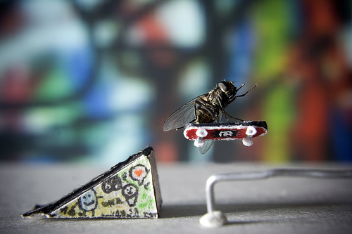 Les aventures de Mr Fly la mouche par Nicholas Hendrickx 9