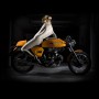Collection Sexy de photos d’Art Ducati Desmo
