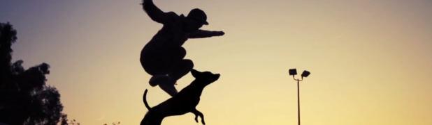 DogBoarding - Skateboard sur des chiens 2