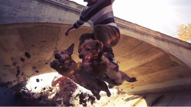 DogBoarding - Skateboard sur des chiens 1
