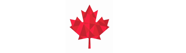 Identité Visuelle de l'équipe Olympique Canadienne 2011 3