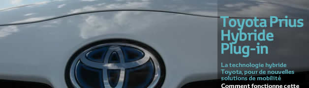 Opération: Plus d'arbres, plus de vie avec Toyota 3