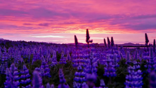 TimeLapse coloré en Iceland | Midnight Sun 1