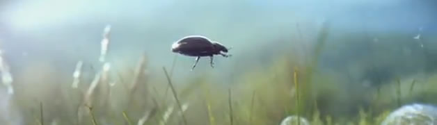 The Mill US Showreel 2011 1