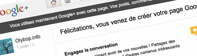 Comment créer sa page Google + pour son entreprise ? 9