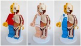 Anatomie de Lego géants