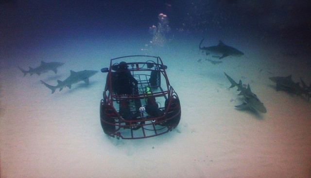 La cage aux requins en forme de New Beetle Volkswagen 5