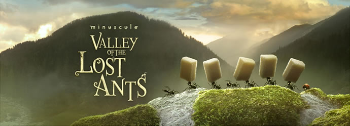 Animation : Teaser Minuscule La Vallée des Fourmis Perdues