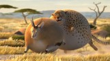 Animation : Rollin’ Safari