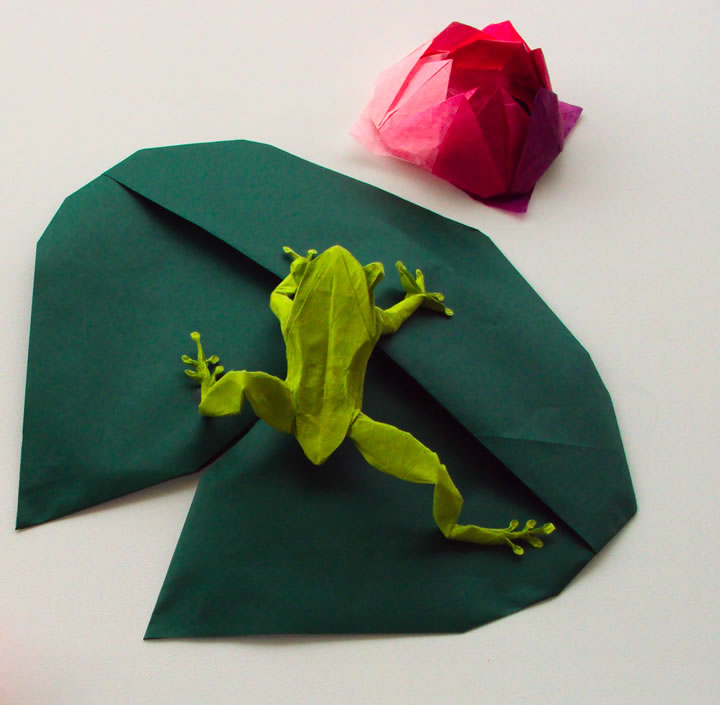 Origami Matthieu Georger (7)