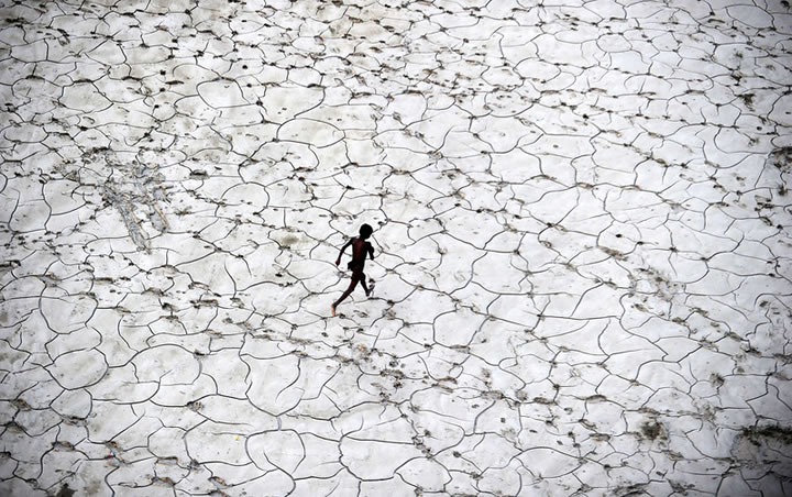 Plus belles images année 2013 AFP (13)