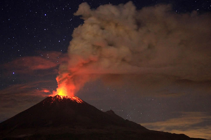 Plus belles images année 2013 AFP (25)