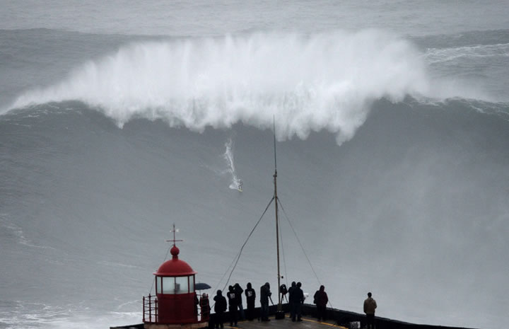 Plus belles images année 2013 AFP (3)