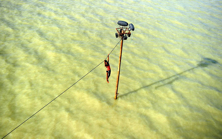 Plus belles images année 2013 AFP (8)