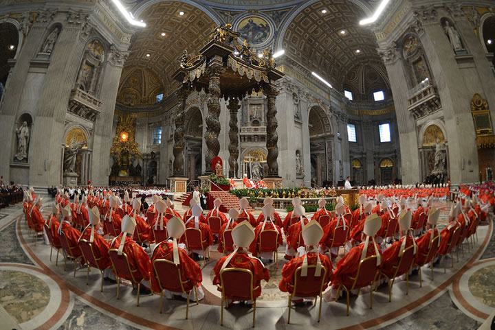 Plus belles images année 2013 AFP (9)