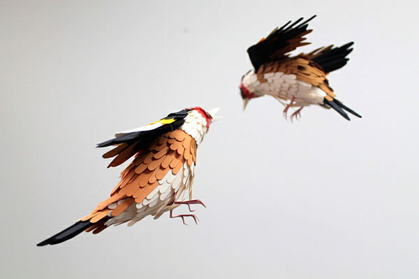 Paper-Birds-Diana-Herrera-Beltran-11