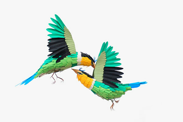 Paper-Birds-Diana-Herrera-Beltran-12
