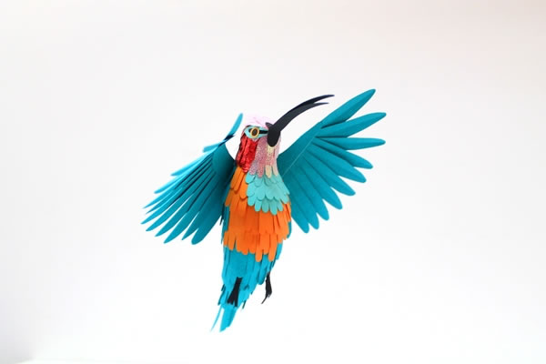 Paper-Birds-Diana-Herrera-Beltran-17