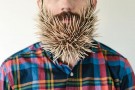 Will It Beard – 1 barbe et ses déclinaisons design