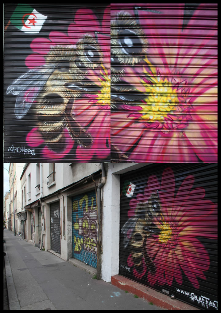 street-art-70