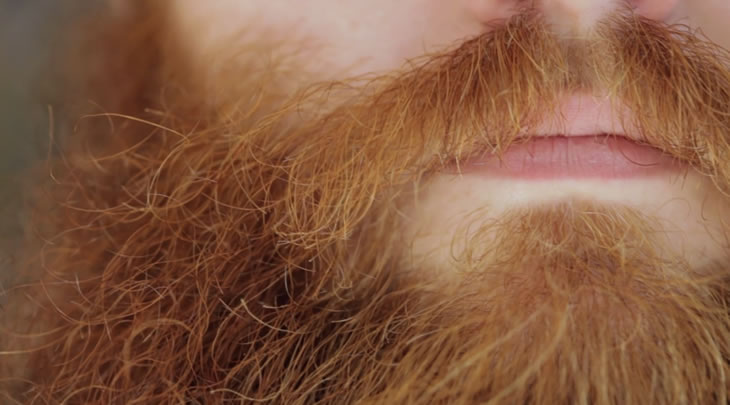 Scène de vie : La Passion de la plus belle barbe du monde
