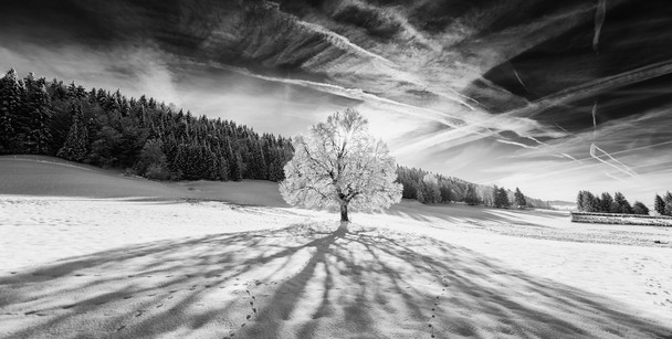 Vallée de Joux, Switzerland - Cris Schmid