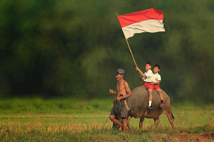 photo-indonesie-herman-damar-6