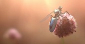 greenpeace – Superbe 3D avec New Bees
