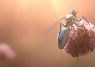 greenpeace – Superbe 3D avec New Bees