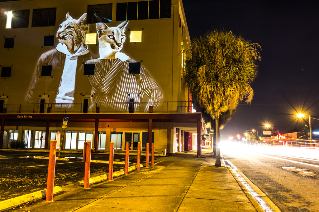 Urbain Safari - Orlando (11)