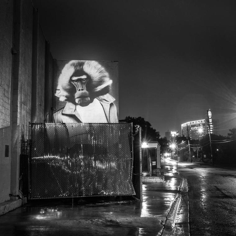 Urbain Safari - Orlando (2)