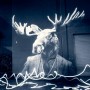 Julien Nonnon – Projection de ses « Safari Urbain »