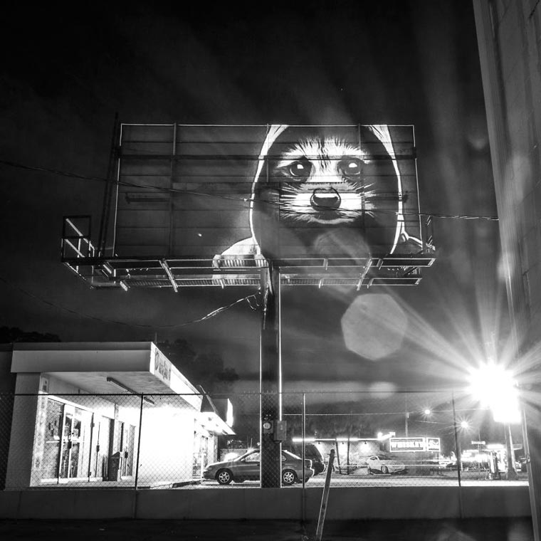 Urbain Safari - Orlando (6)