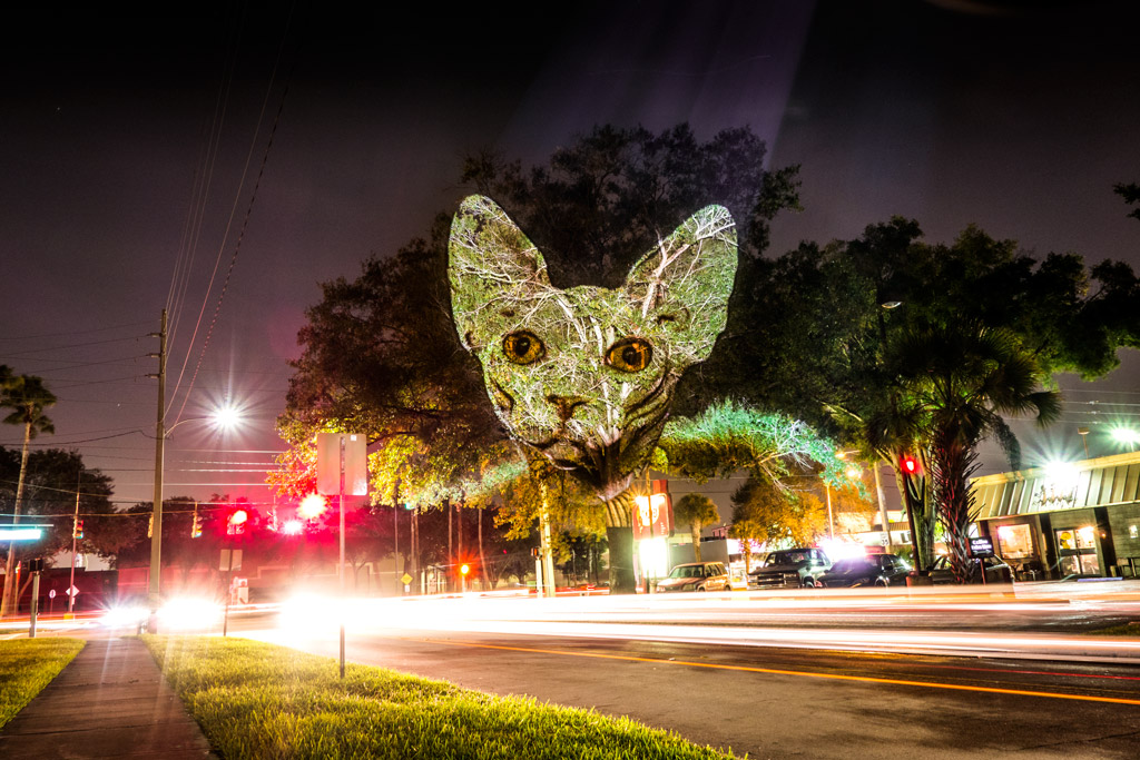 Urbain Safari - Orlando (8)