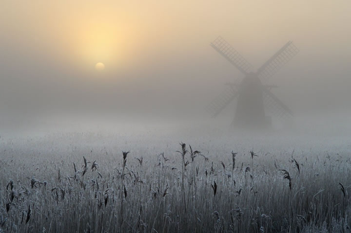 freezing-fog-and-hoar-frost-by-andrew-bailey