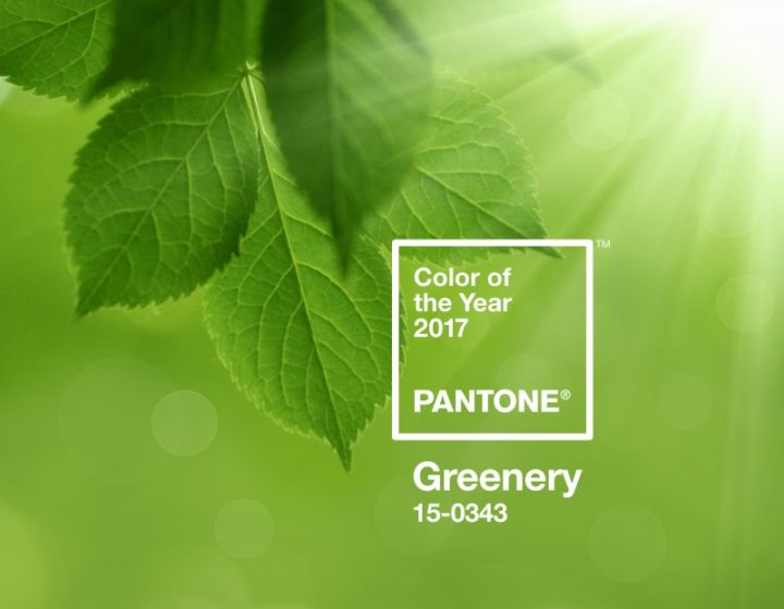 Greenery - La couleur Pantone 2017 1