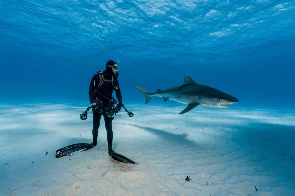 national-geographic-2016-brian-skerry