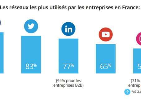 Usage des médias sociaux dans les entreprises en France 4