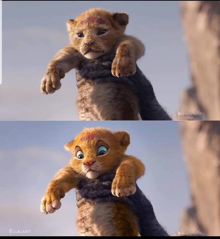 Et si le roi lion avait eu des émotions dans leurs personnages ? 2