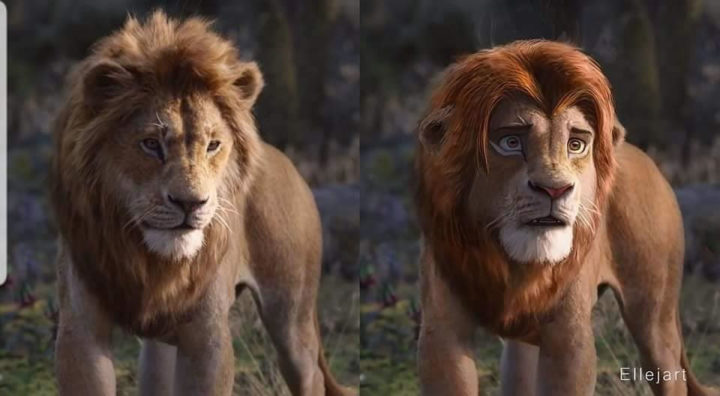 Et si le roi lion avait eu des émotions dans leurs personnages ? 7