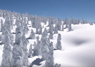 Découvrir l’hiver au Japon en 8K