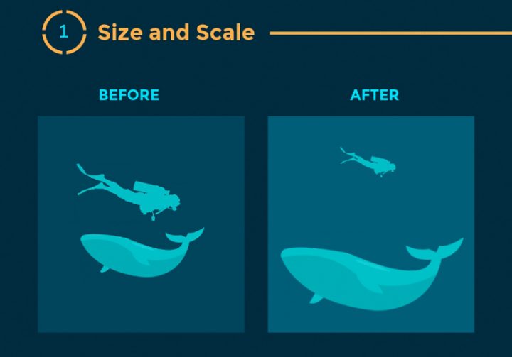 Infographie : 12 Principes de hiérarchie visuelle que tous les webdesigners doivent connaître 2