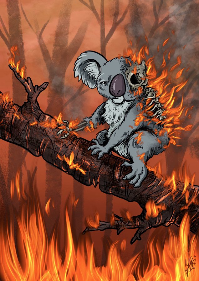 Internet réagit en Dessins aux incendies d'Australie 1