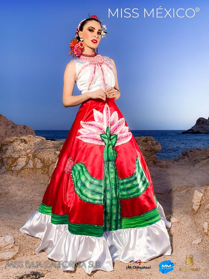 Les superbes costumes des miss mexico 2020 15