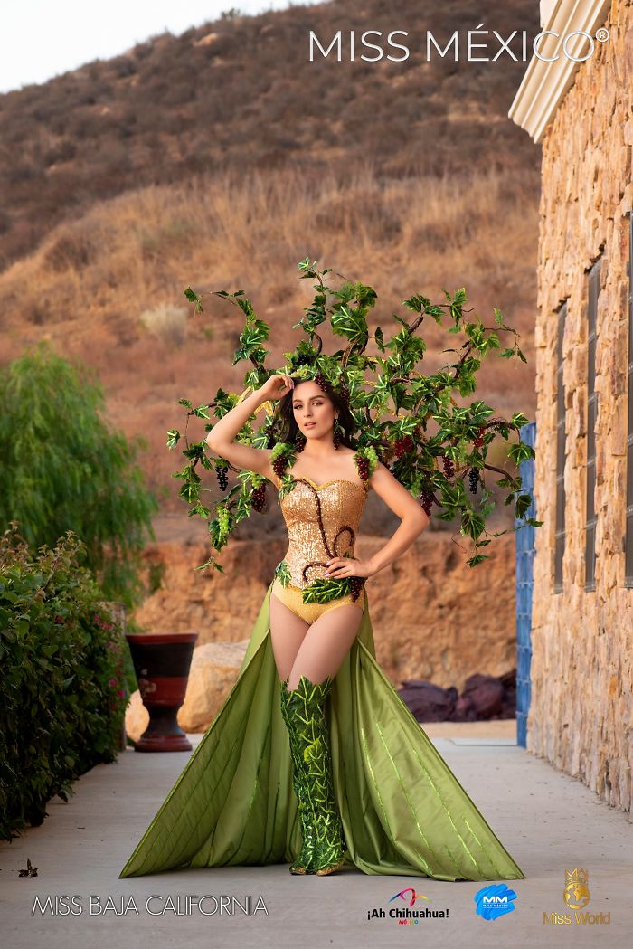 Les superbes costumes des miss mexico 2020 20