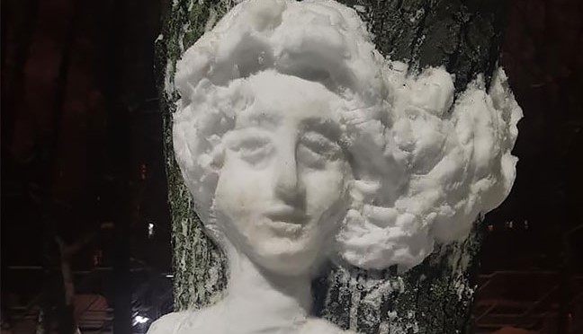12+ belles sculptures en neige sur des arbres