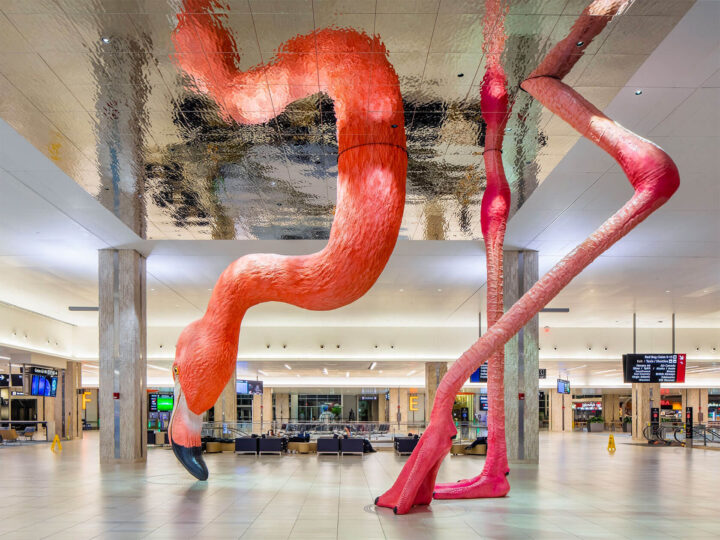 Street Art : Installation Flamingo Époustouflante par Matthew Mazzotta 8